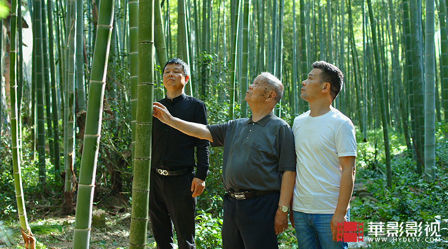 1710816950526981.jpg 制扇技藝 徐義林-2.jpg